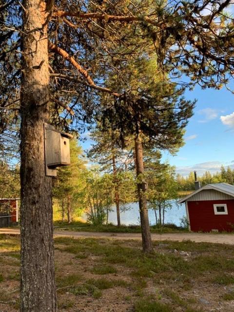Off-Grid Cabin In Nattavaara Lapland Zewnętrze zdjęcie