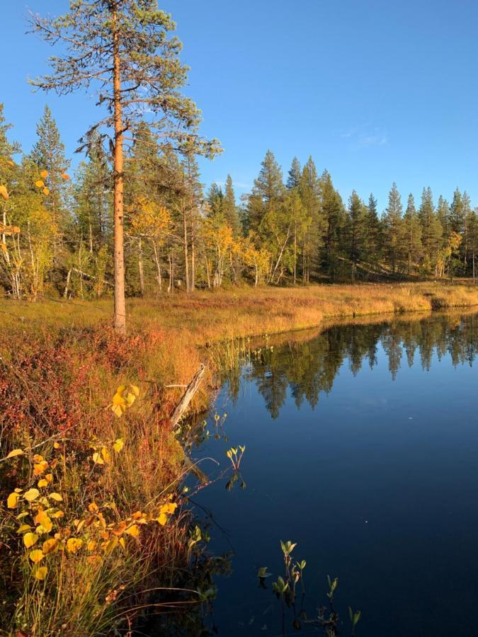 Off-Grid Cabin In Nattavaara Lapland Zewnętrze zdjęcie