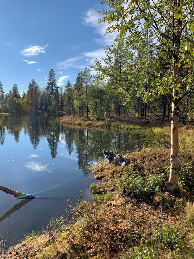 Off-Grid Cabin In Nattavaara Lapland Zewnętrze zdjęcie