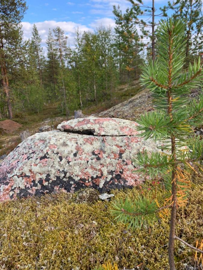 Off-Grid Cabin In Nattavaara Lapland Zewnętrze zdjęcie