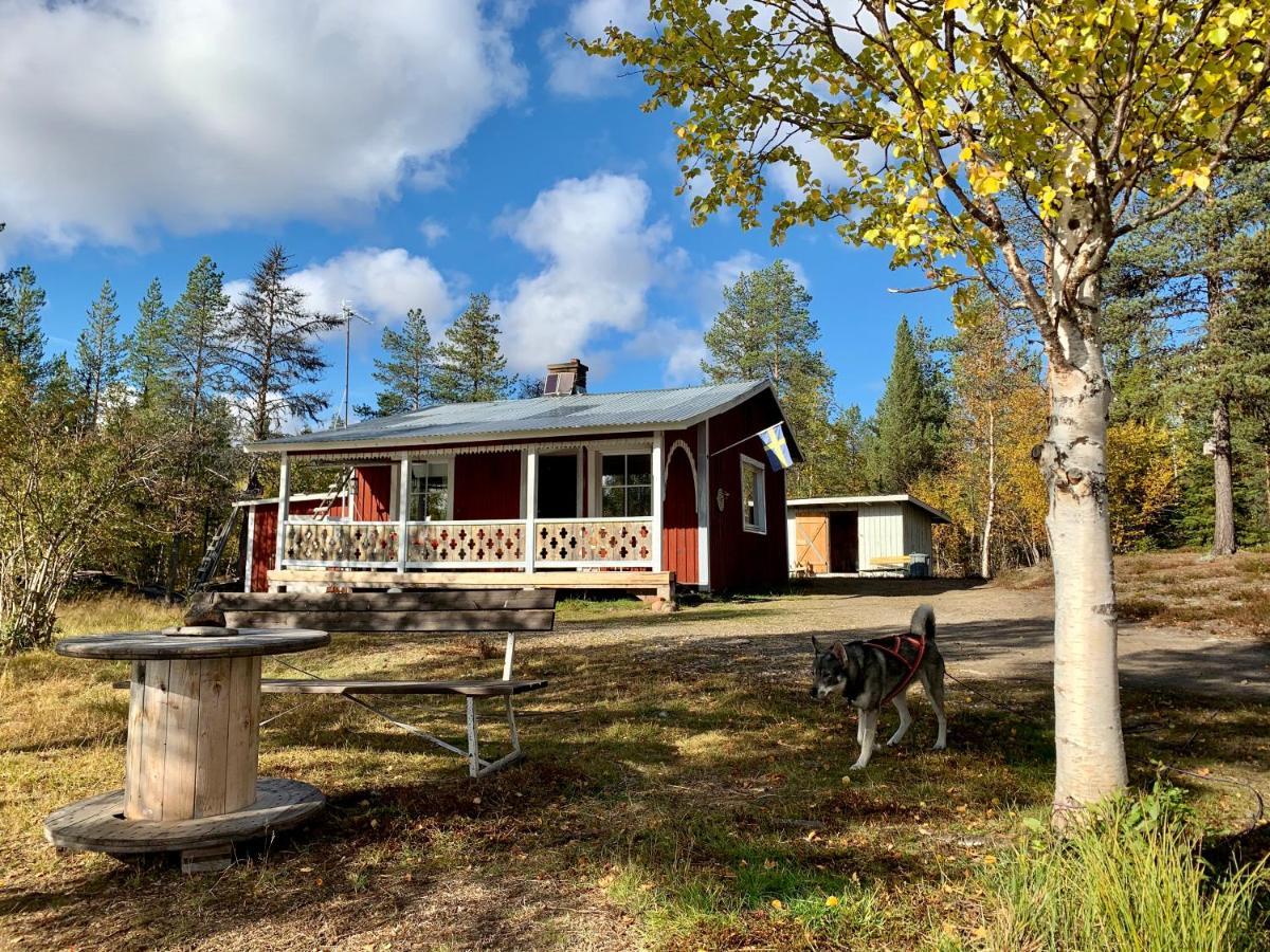 Off-Grid Cabin In Nattavaara Lapland Zewnętrze zdjęcie