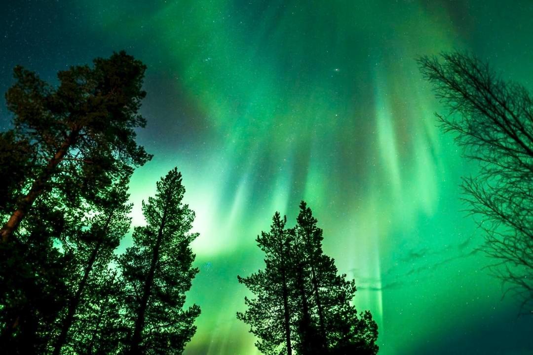 Off-Grid Cabin In Nattavaara Lapland Zewnętrze zdjęcie